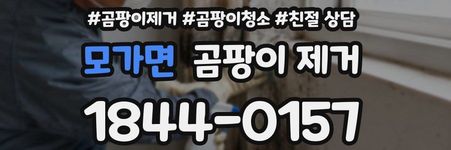 모가면 곰팡이 제거