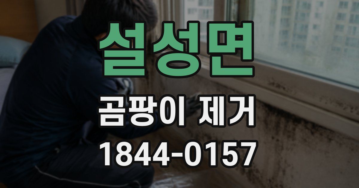 설성면 곰팡이 제거