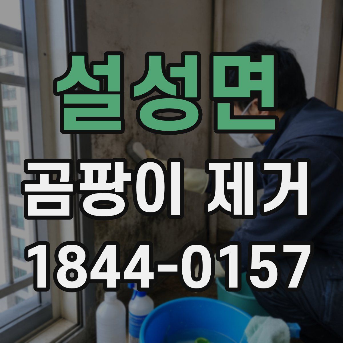 설성면 곰팡이 제거