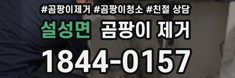 설성면 곰팡이 제거