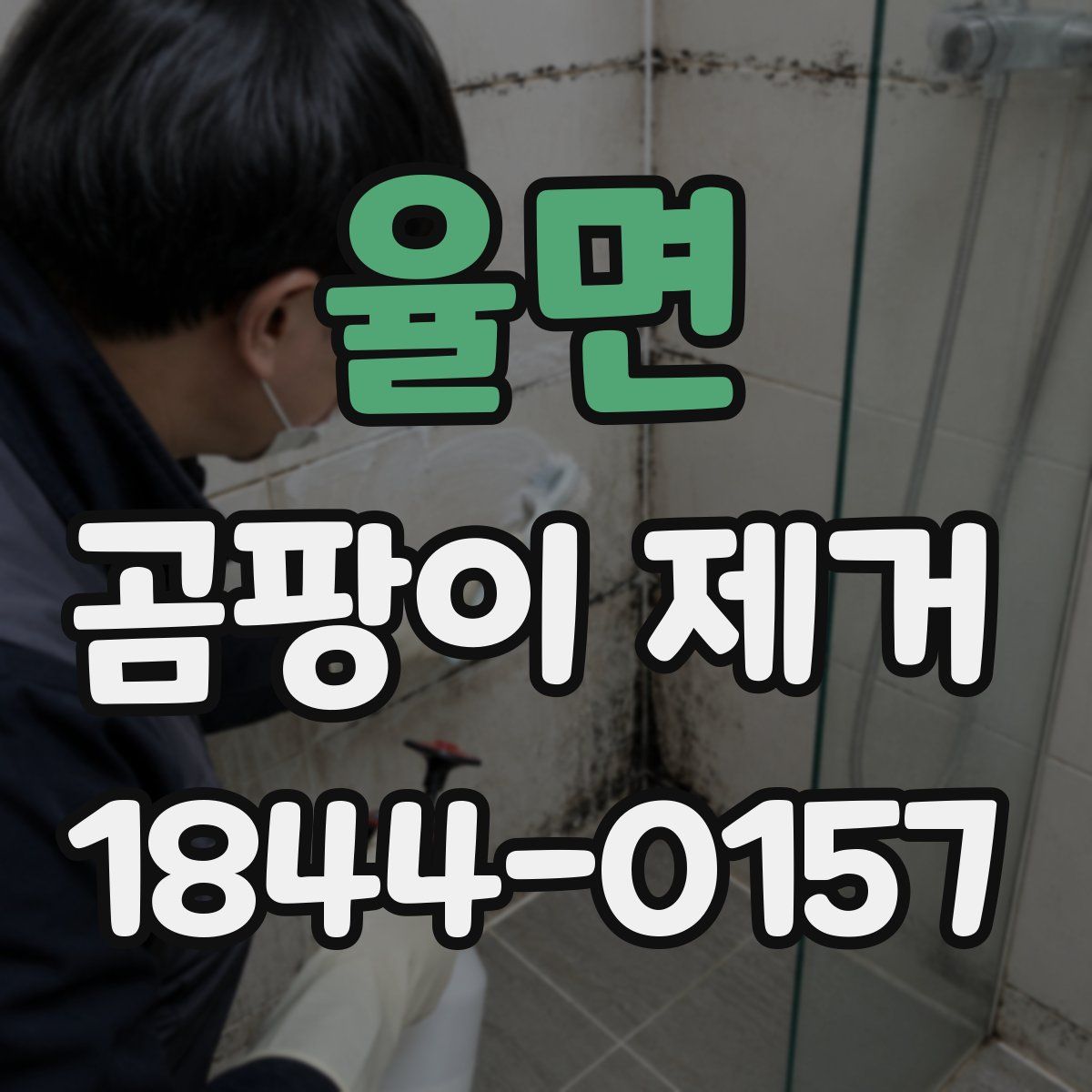 율면 곰팡이 제거