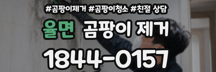 율면 곰팡이 제거