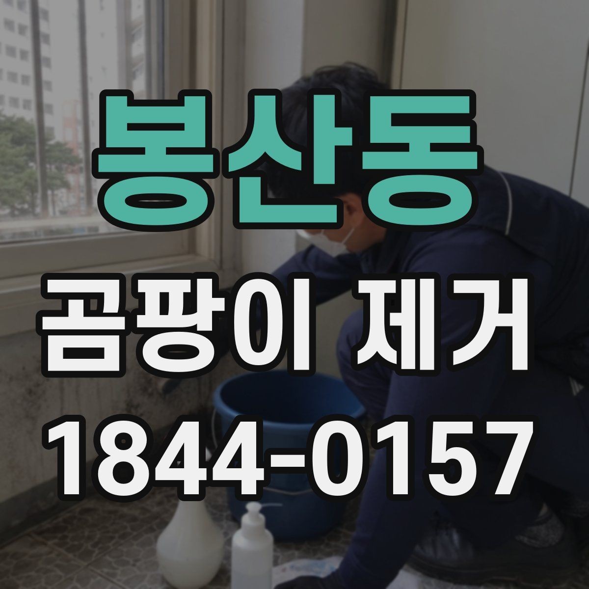 봉산동 곰팡이 제거 업체 선택 시 후기보다 중요한 것