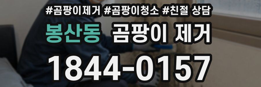 봉산동 곰팡이 제거