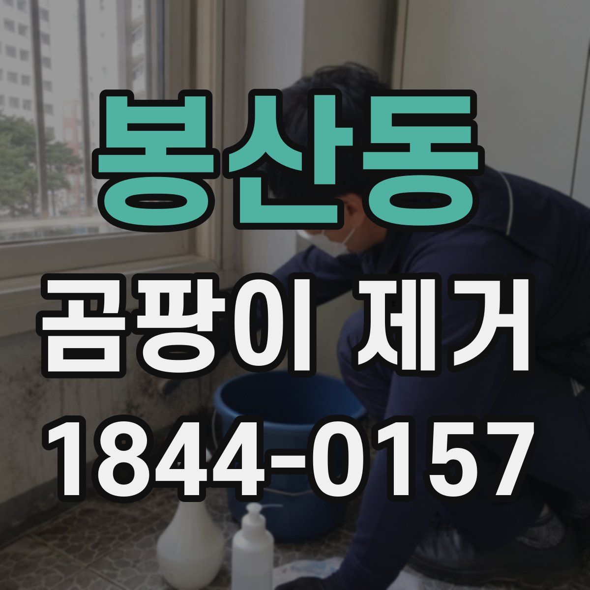 봉산동 곰팡이 제거
