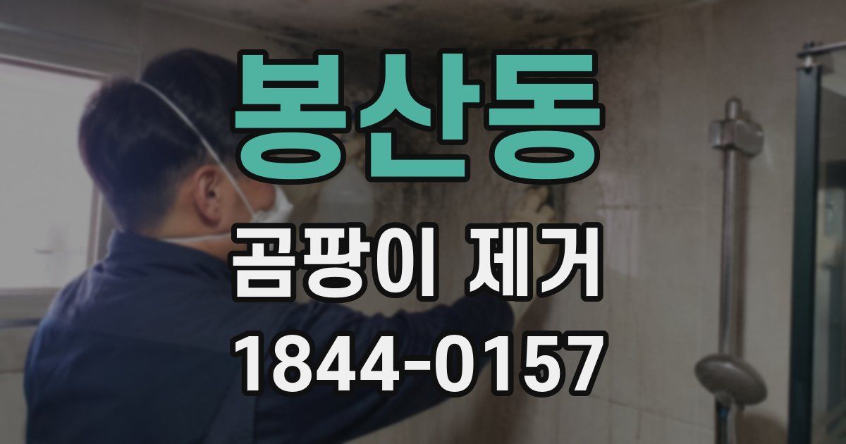봉산동 곰팡이 제거
