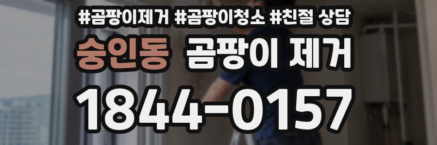 숭인동 곰팡이 제거