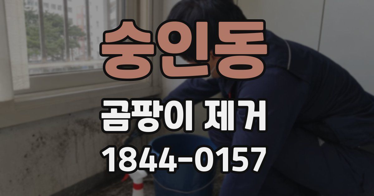 숭인동 곰팡이 제거