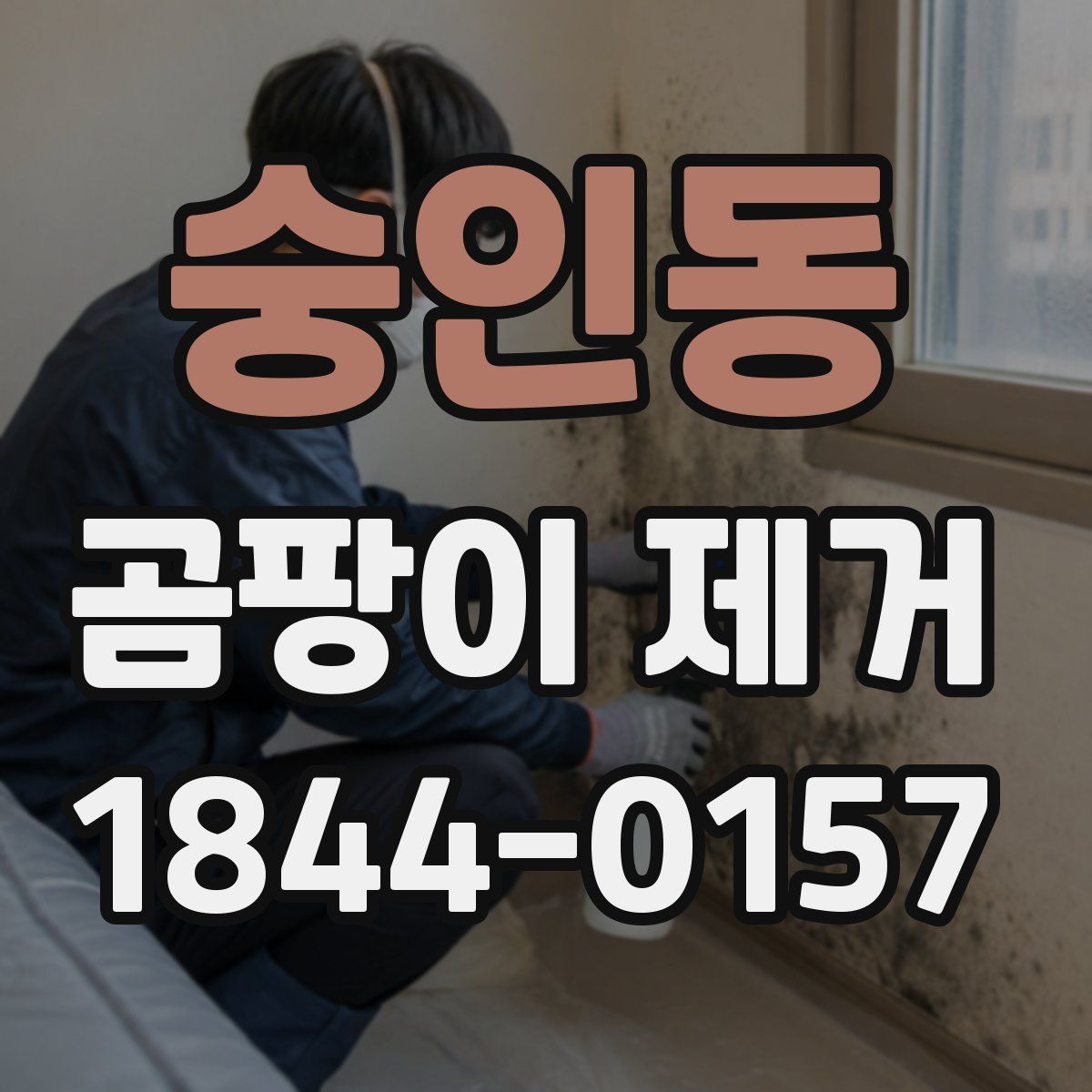 숭인동 곰팡이 제거