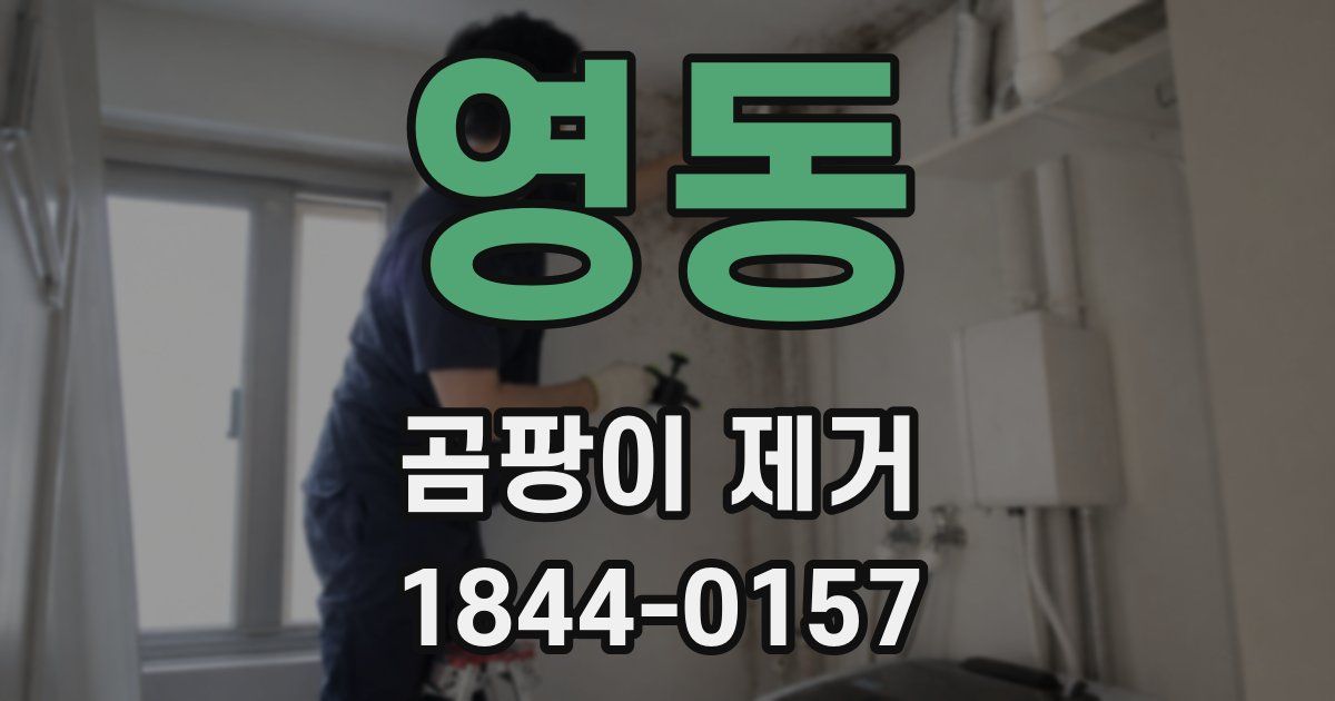 영동 곰팡이 제거
