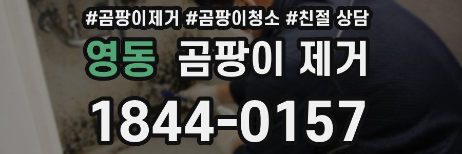 영동 곰팡이 제거