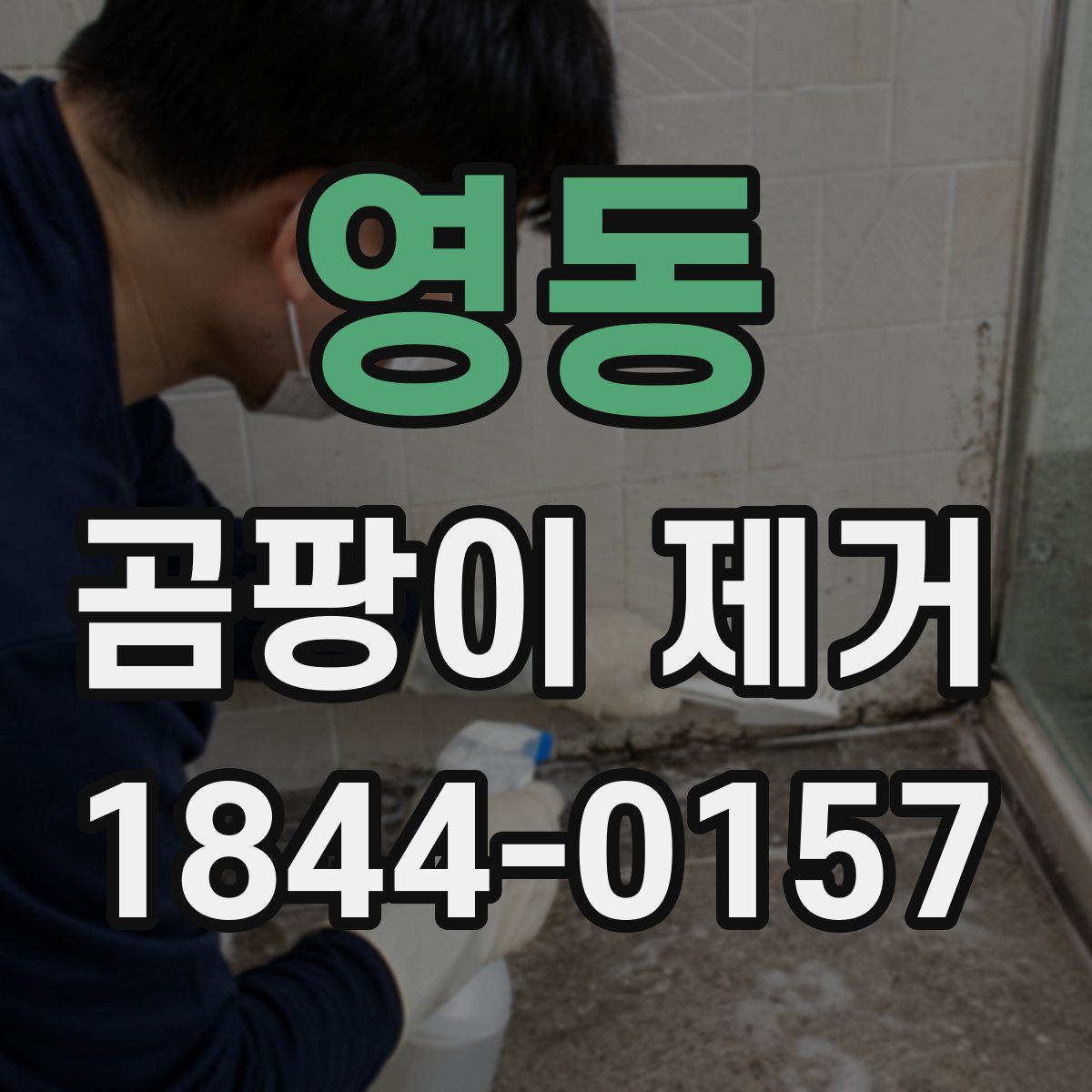 영동 곰팡이 제거