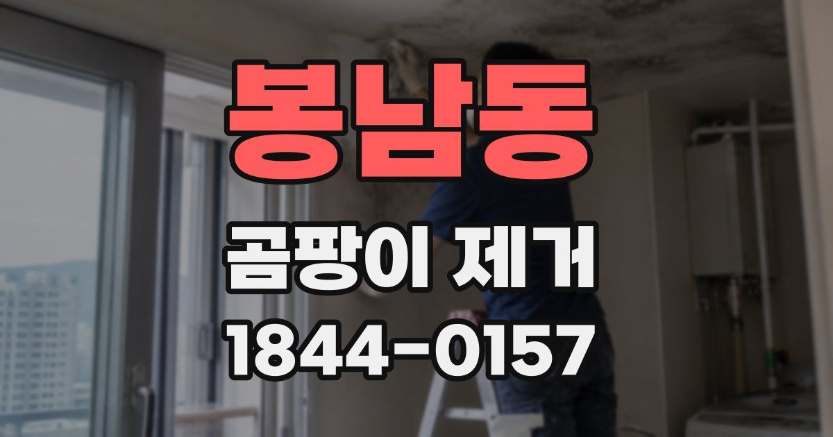 봉남동 곰팡이 제거