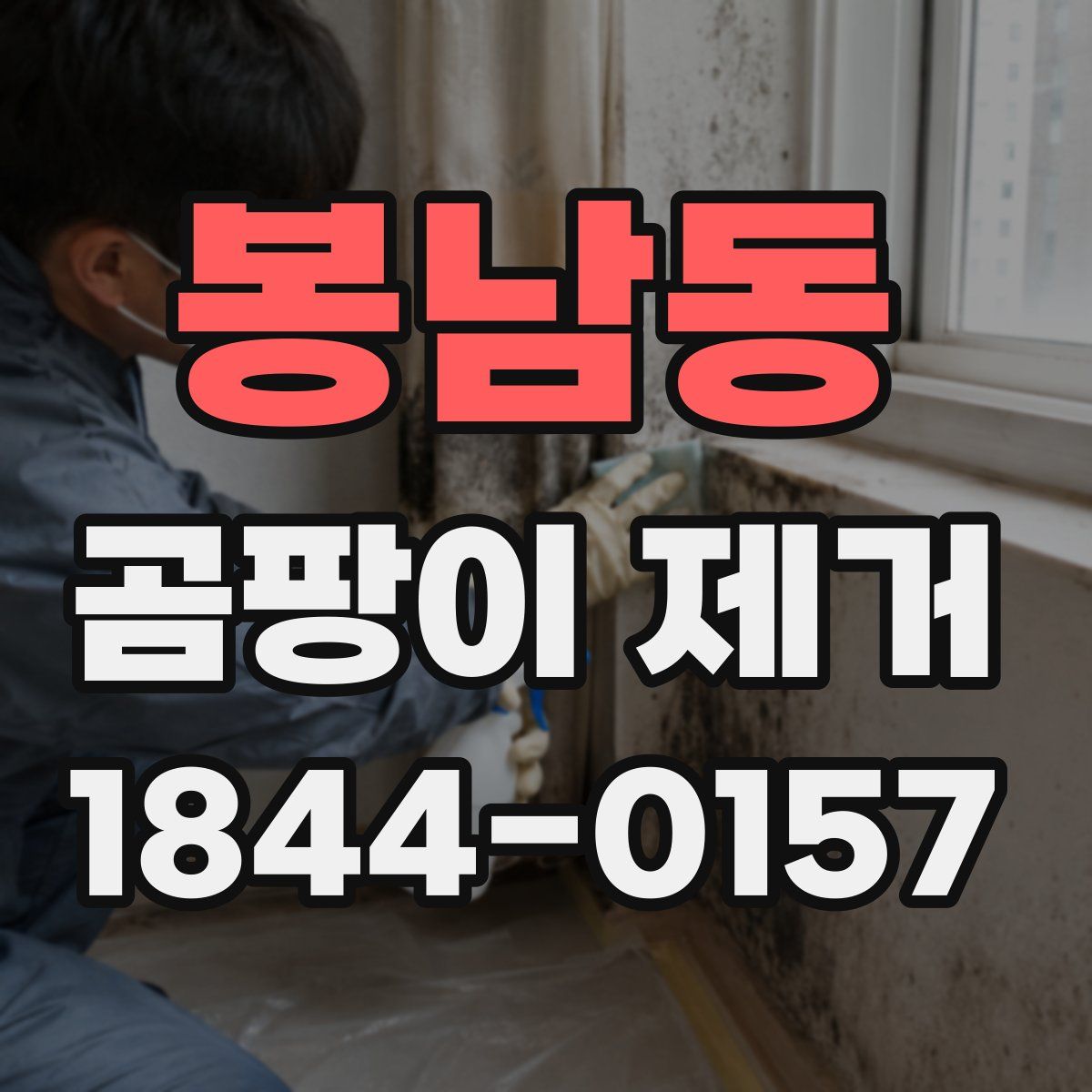 봉남동 곰팡이 제거
