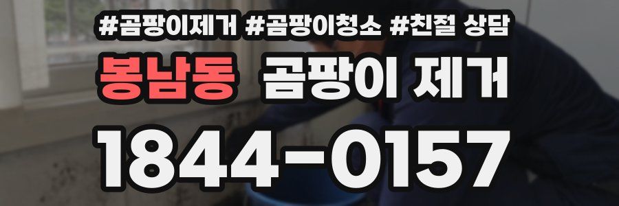 봉남동 곰팡이 제거