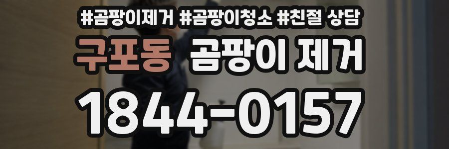 구포동 곰팡이 제거