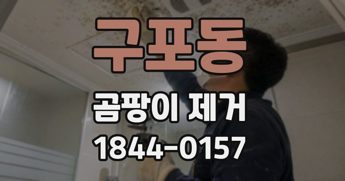 구포동 곰팡이 제거