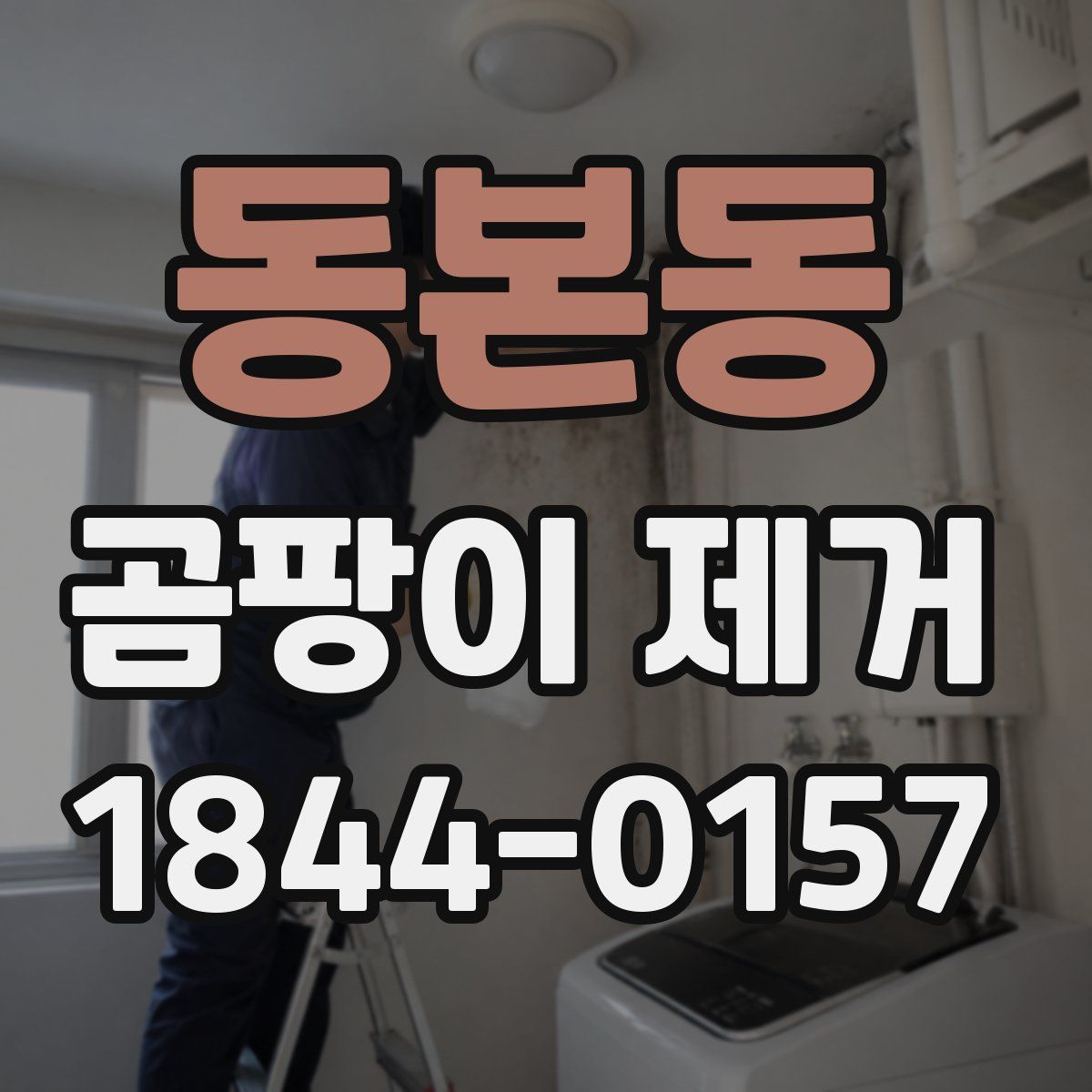 동본동 곰팡이 제거