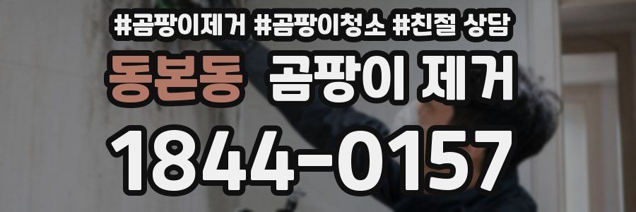 동본동 곰팡이 제거