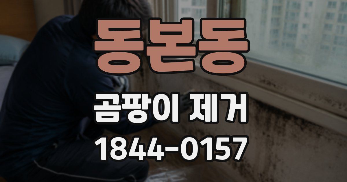 동본동 곰팡이 제거