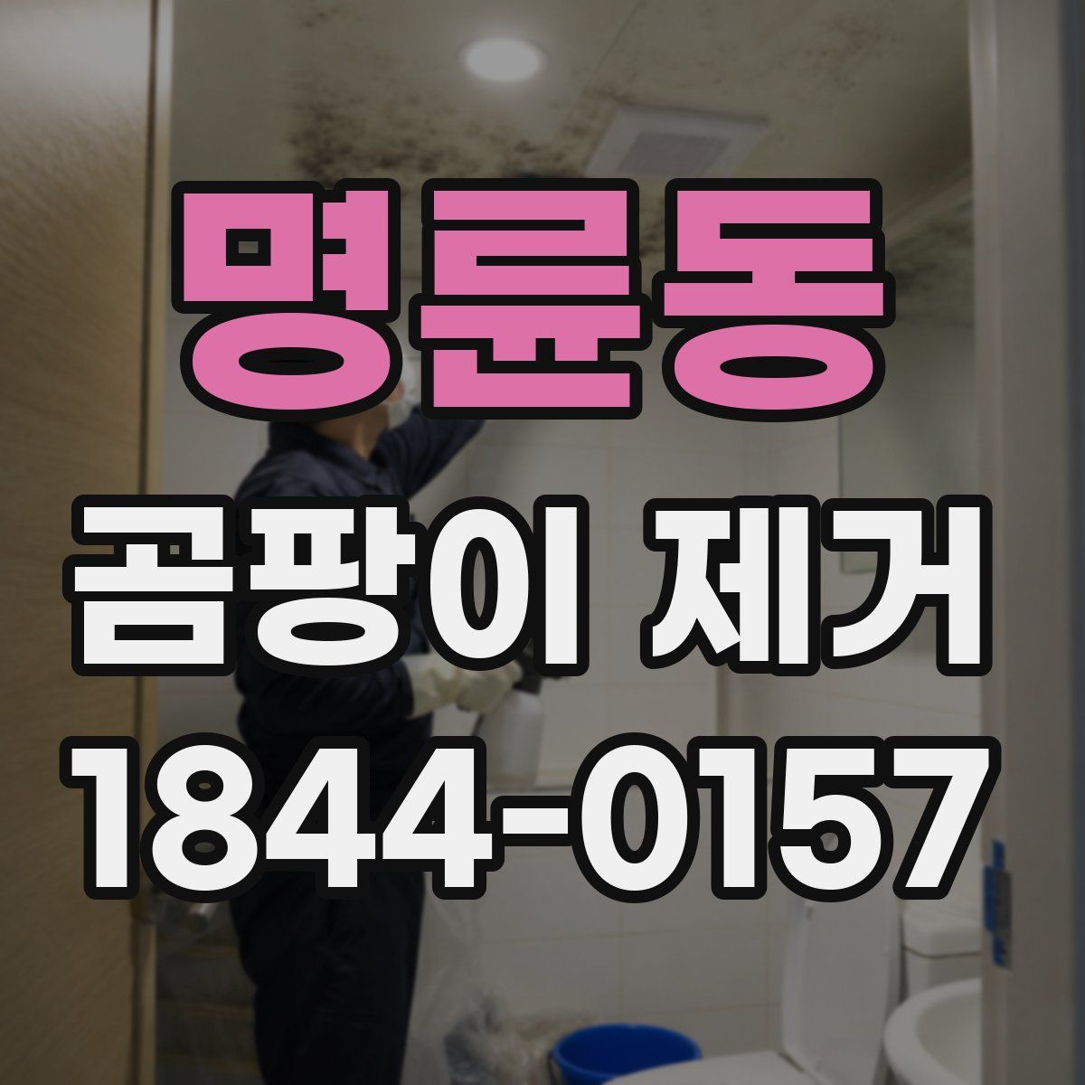 명륜동 곰팡이 제거