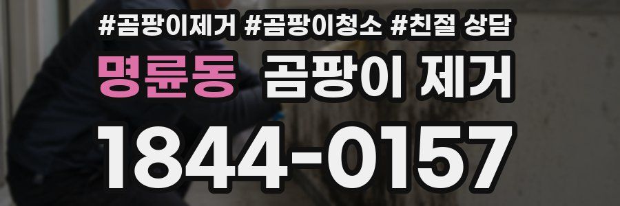 명륜동 곰팡이 제거