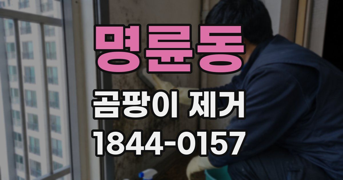 명륜동 곰팡이 제거