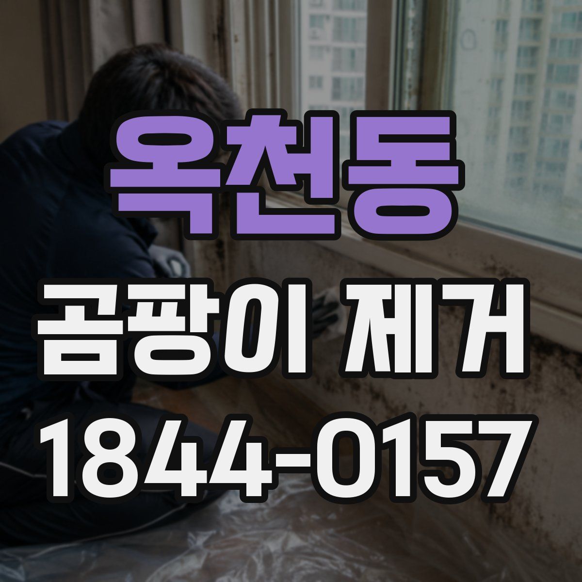 옥천동 곰팡이 제거