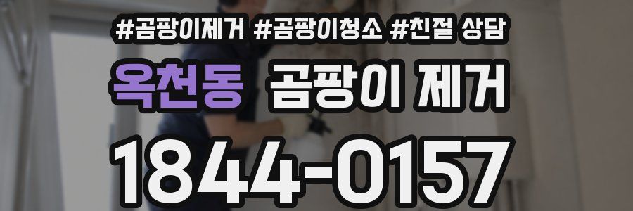 옥천동 곰팡이 제거