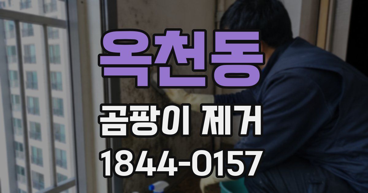 옥천동 곰팡이 제거