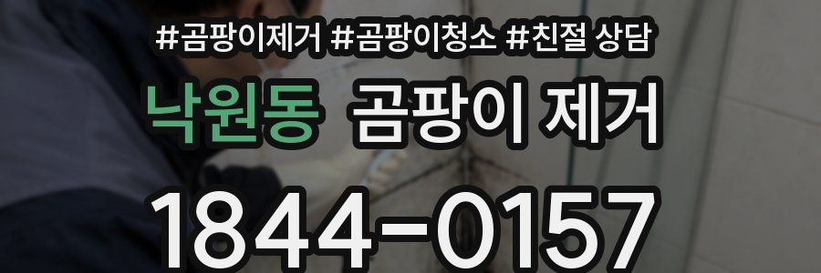 낙원동 곰팡이 제거
