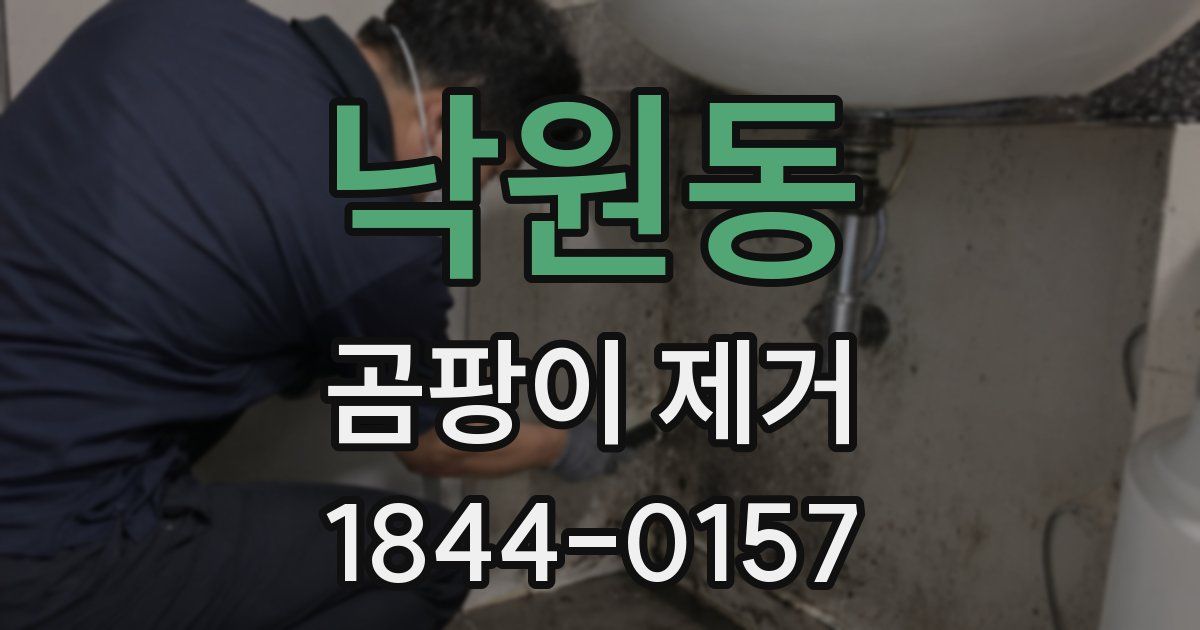 낙원동 곰팡이 제거