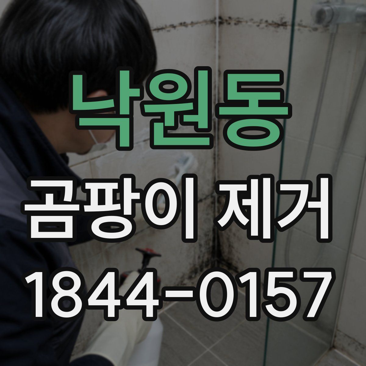낙원동 곰팡이 제거