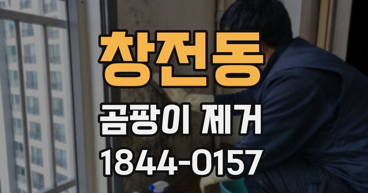 창전동 곰팡이 제거