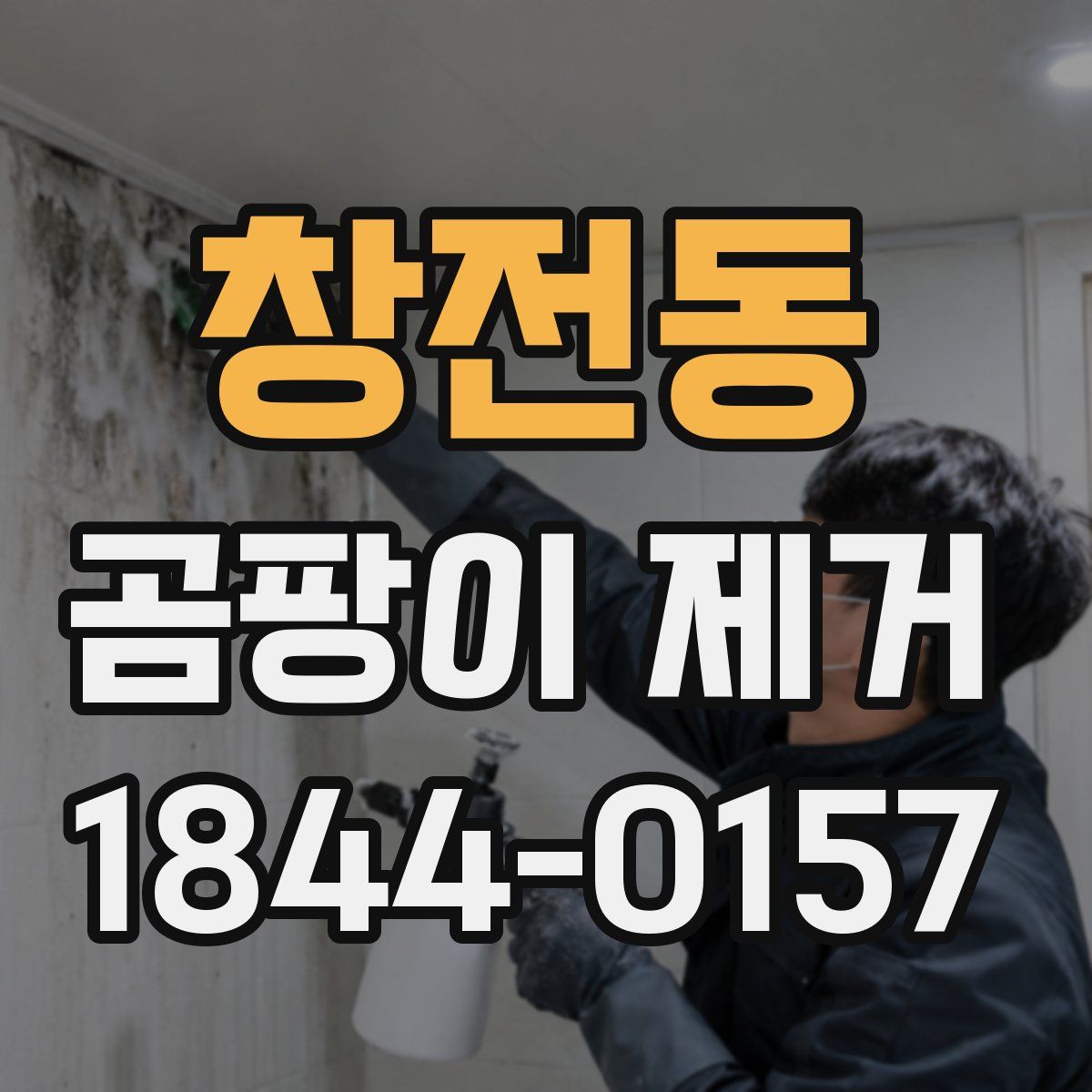창전동 곰팡이 제거