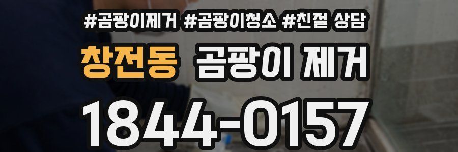 창전동 곰팡이 제거