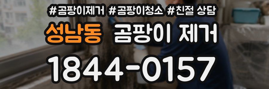 성남동 곰팡이 제거