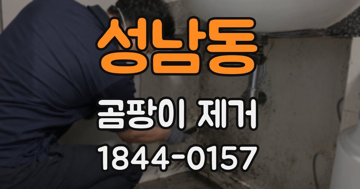 성남동 곰팡이 제거