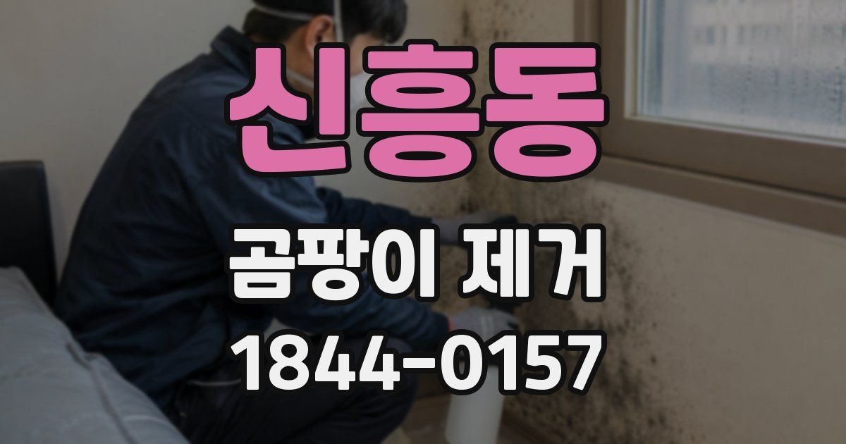 신흥동 곰팡이 제거