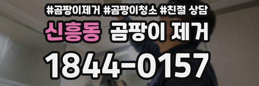 신흥동 곰팡이 제거