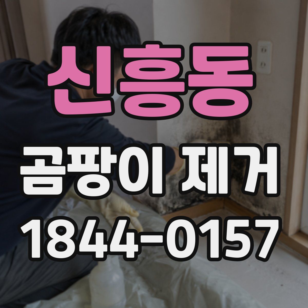 신흥동 곰팡이 제거