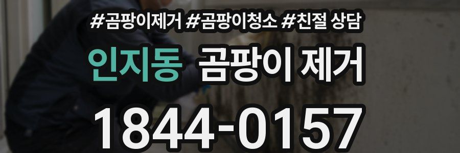 인지동 곰팡이 제거