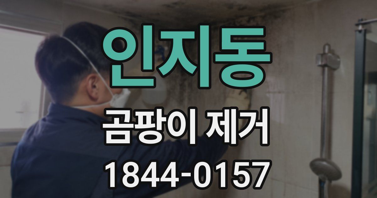 인지동 곰팡이 제거