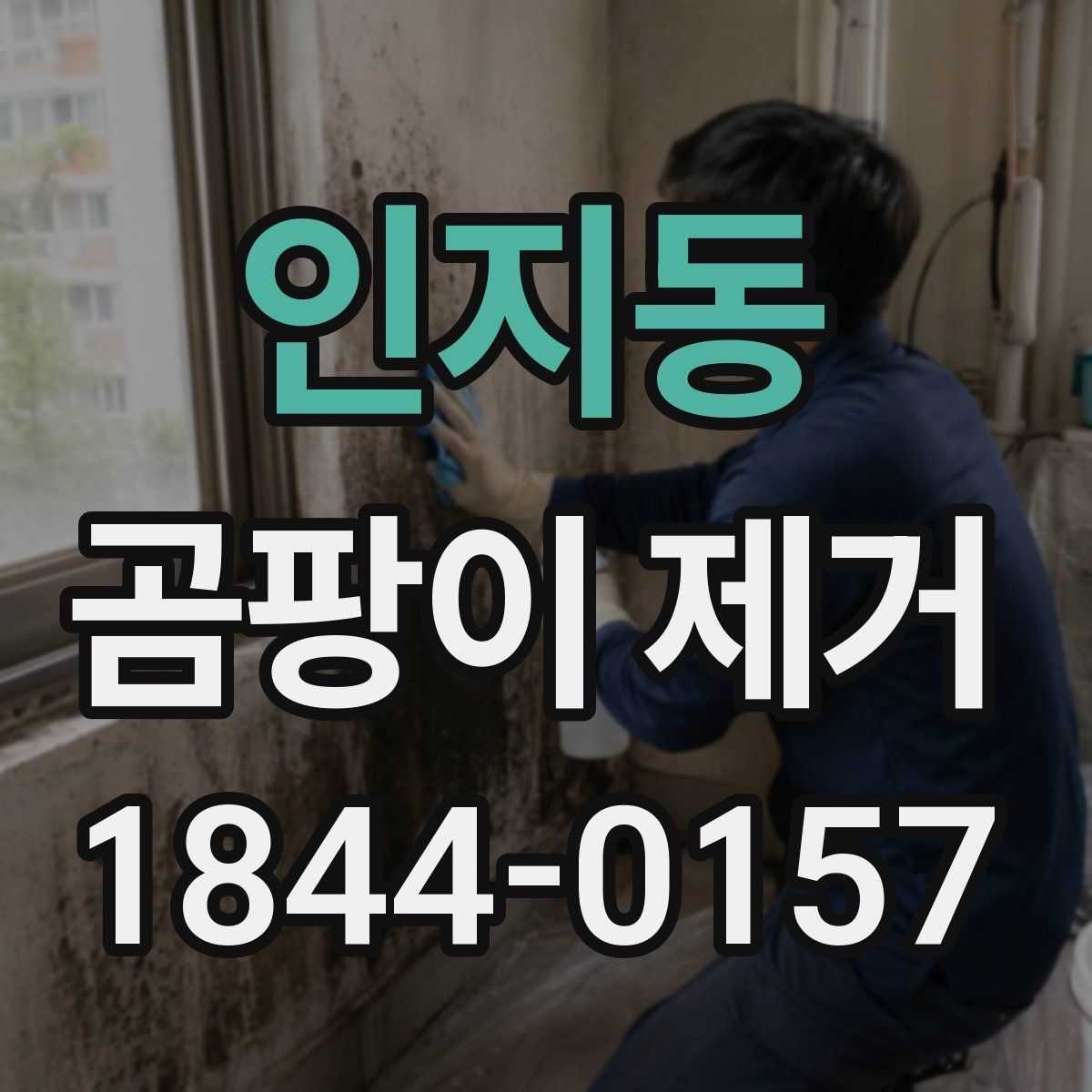 인지동 곰팡이 제거