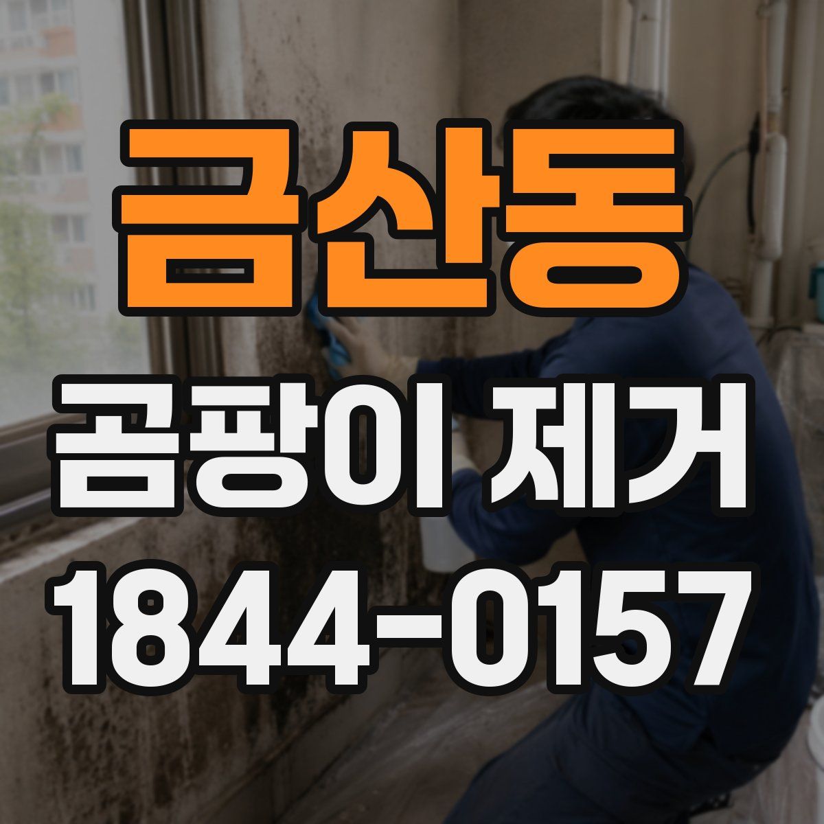 금산동 곰팡이 제거