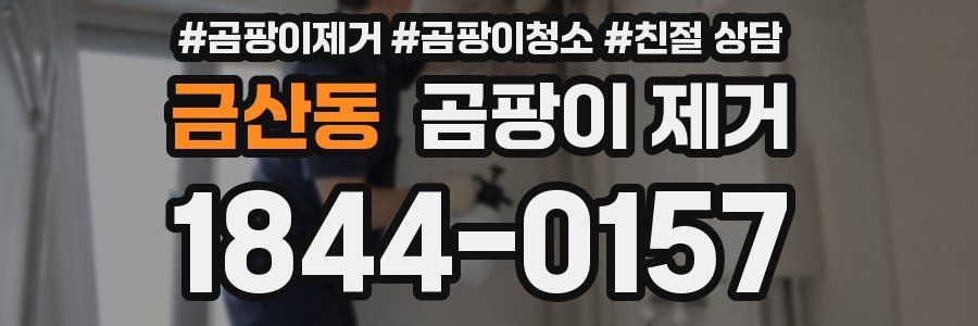 금산동 곰팡이 제거