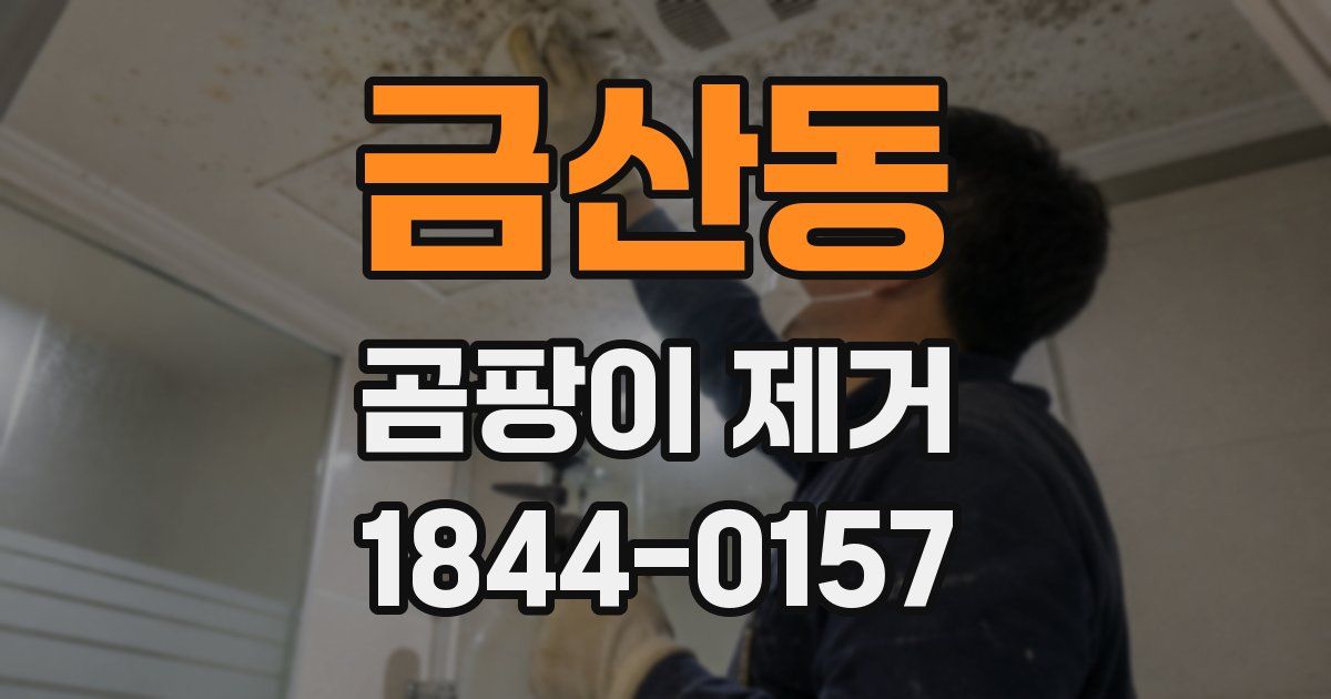금산동 곰팡이 제거