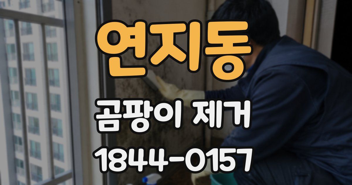 연지동 곰팡이 제거