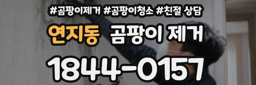 연지동 곰팡이 제거