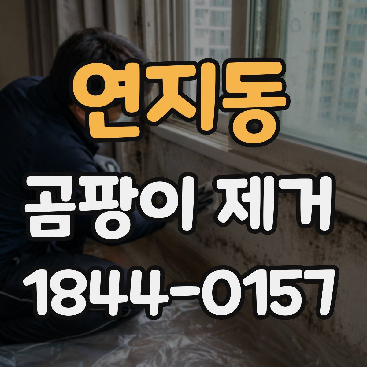 연지동 곰팡이 제거